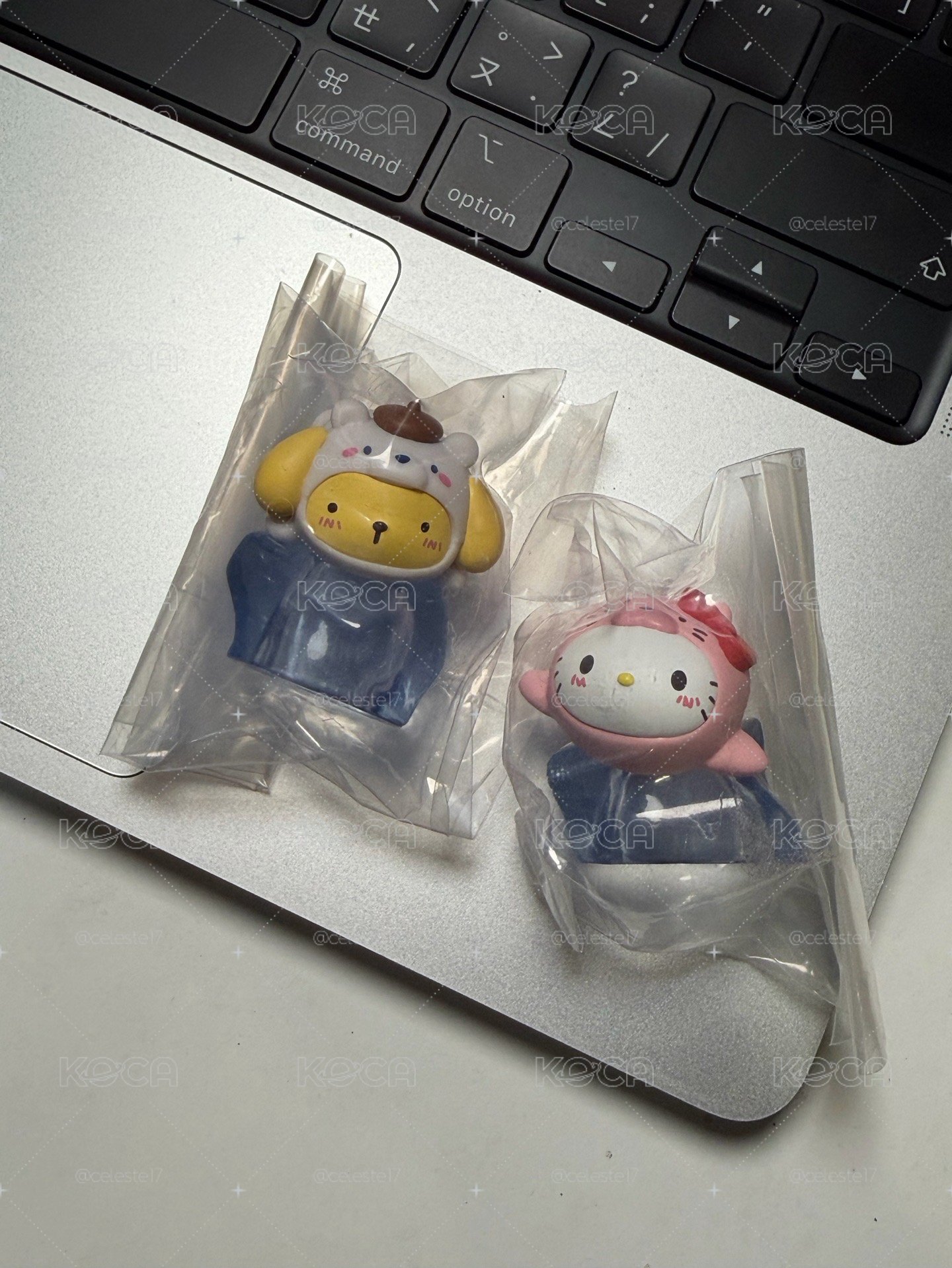 三麗鷗南極系列