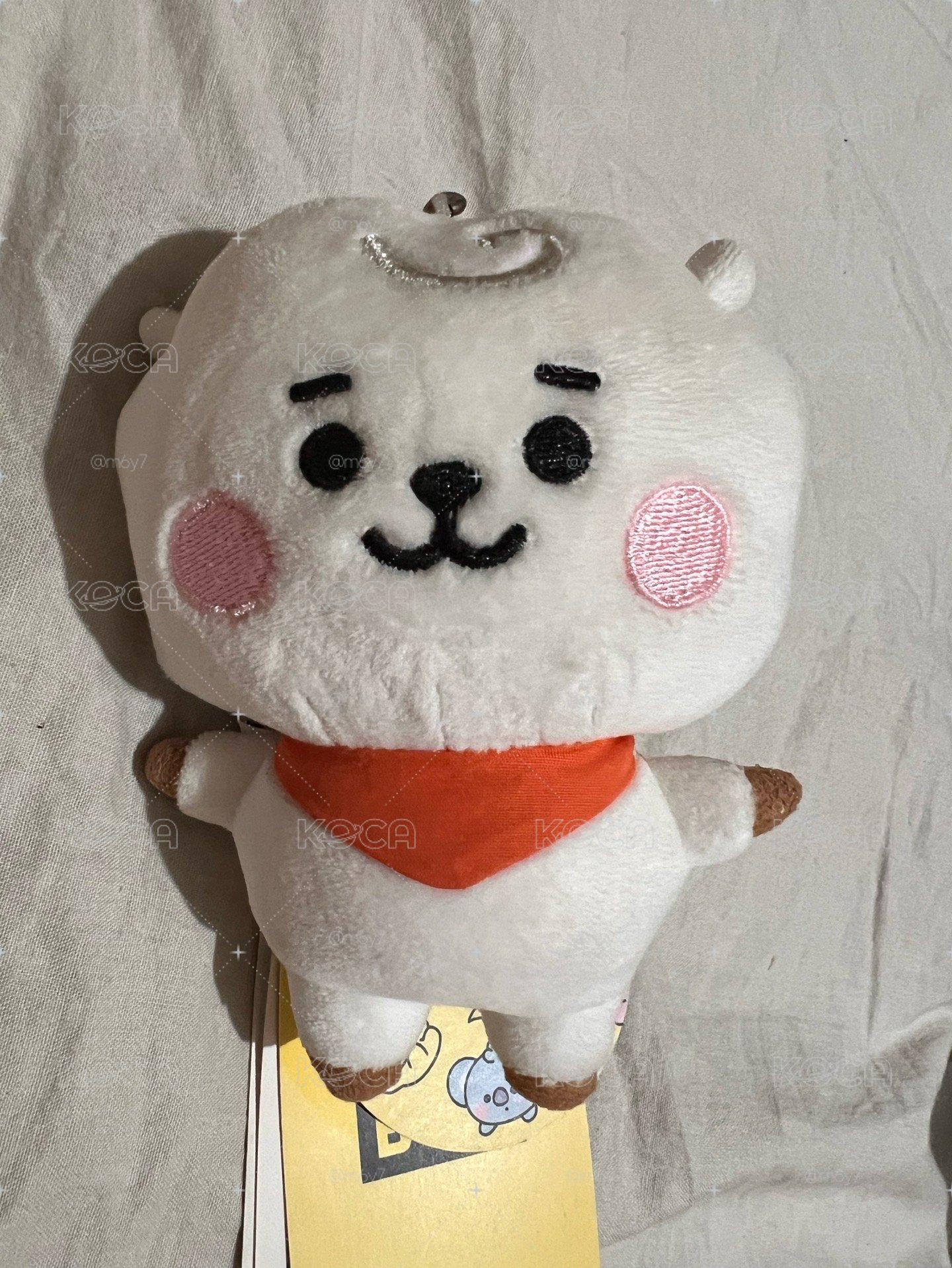 BT21 Baby RJ
