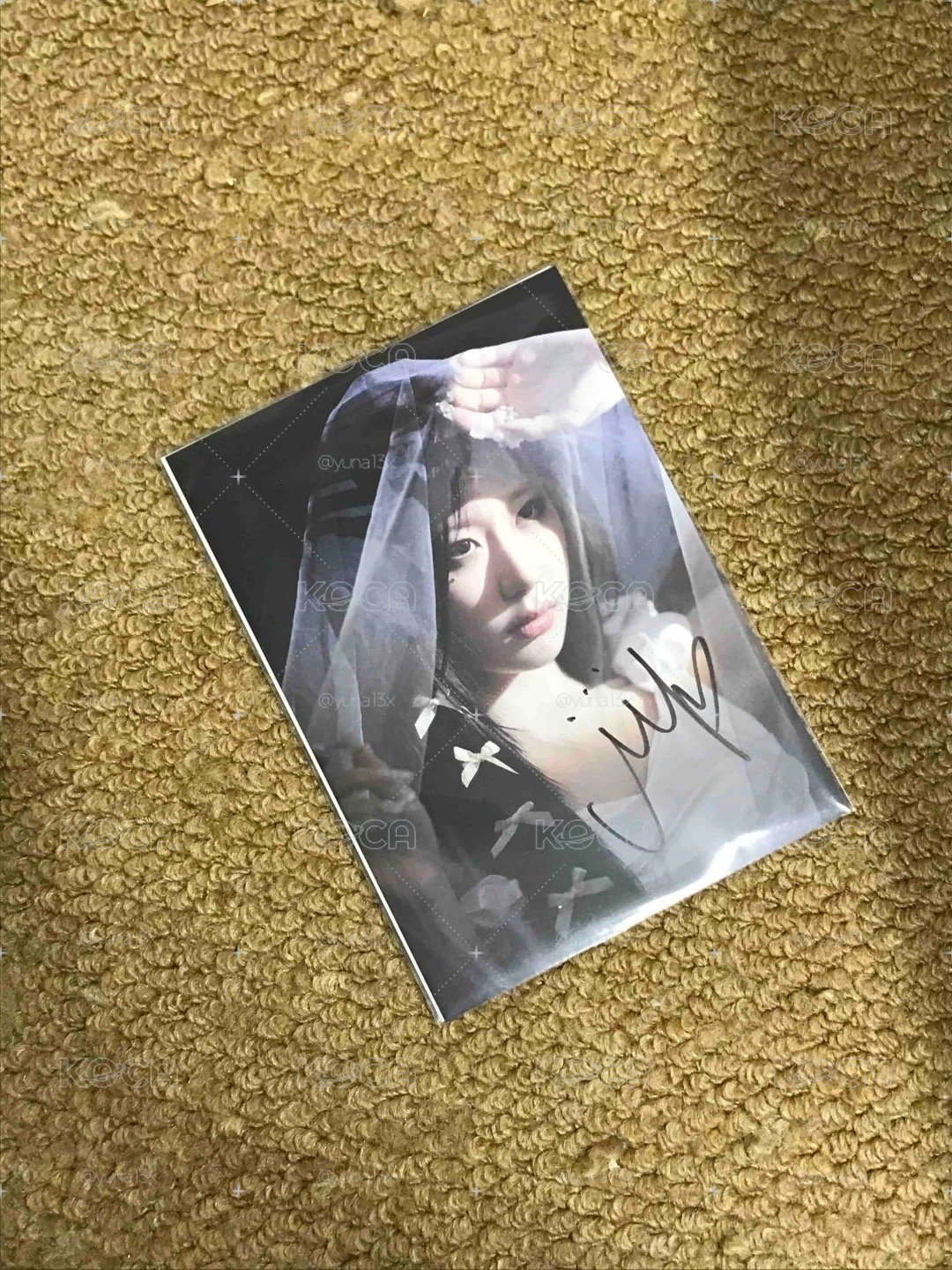 迷十二親簽領