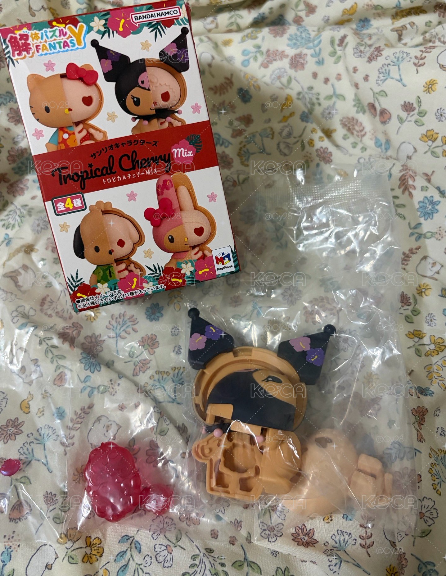📌結體庫洛米