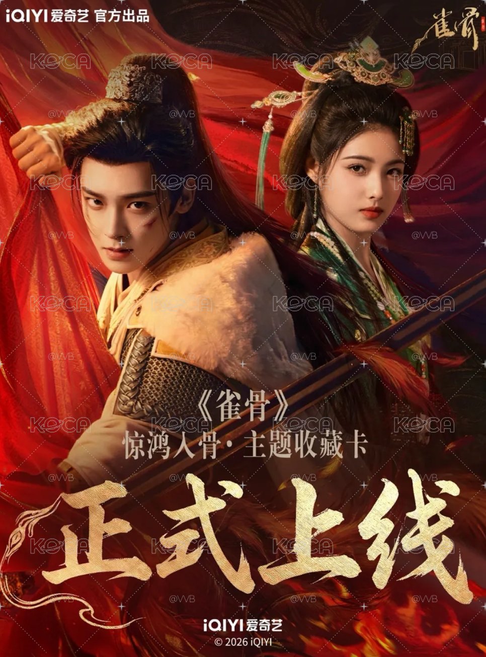 雀骨 小卡 盲包