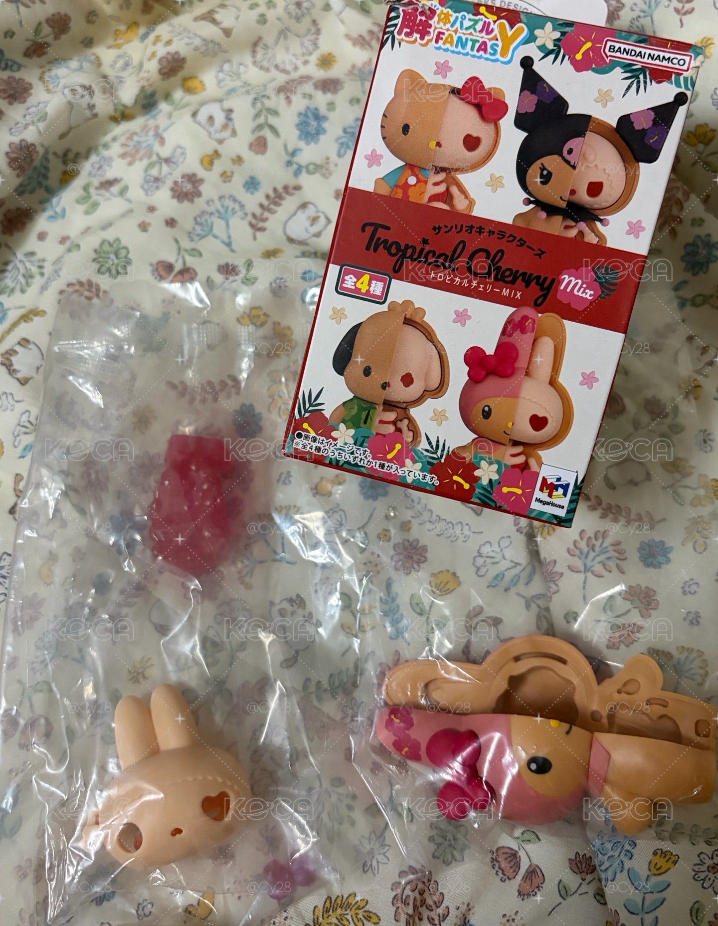📌解體美樂蒂