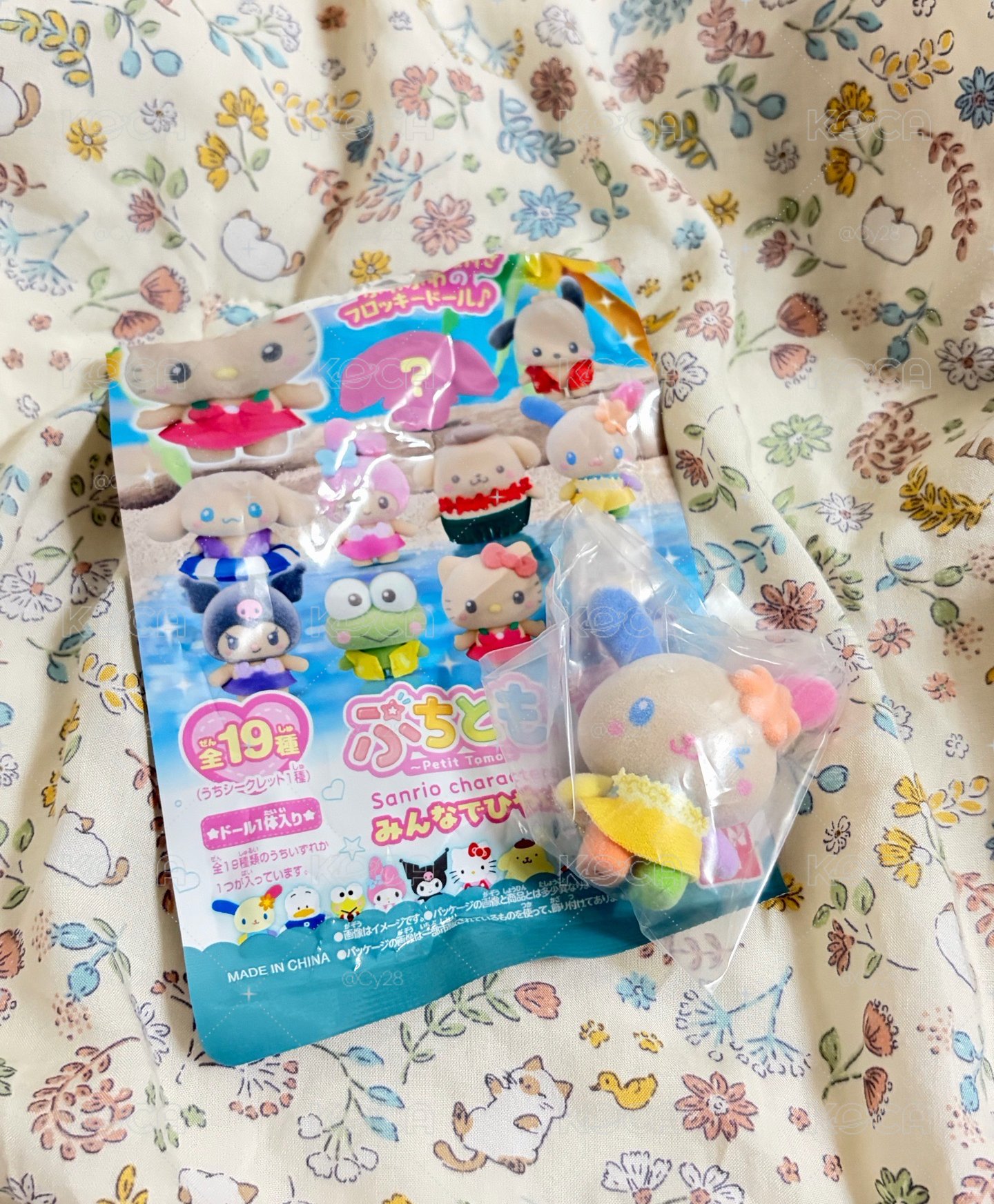 📌曬黑的花小兔
