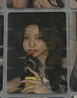 wvs獎盃🏆
