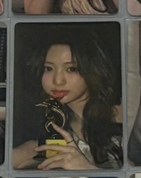 wvs獎盃🏆