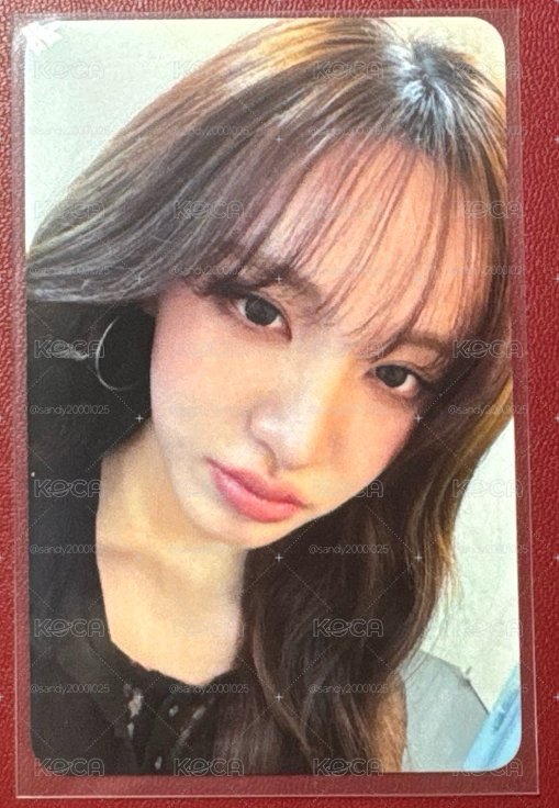 北美VIP 栗