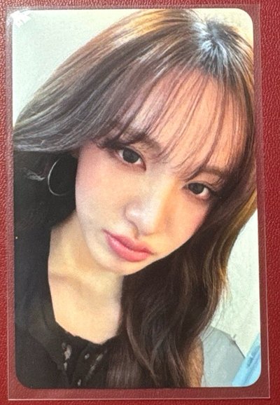 北美VIP 栗