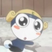 노민