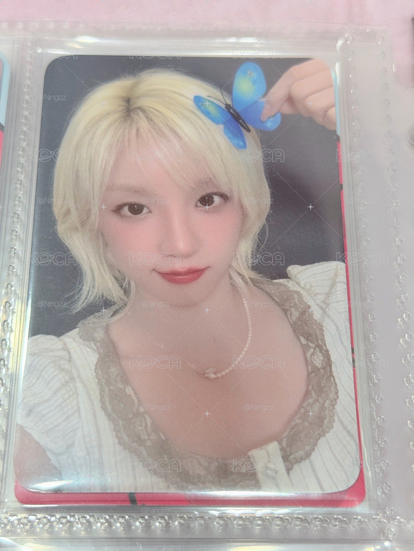 蝴蝶🦋琦