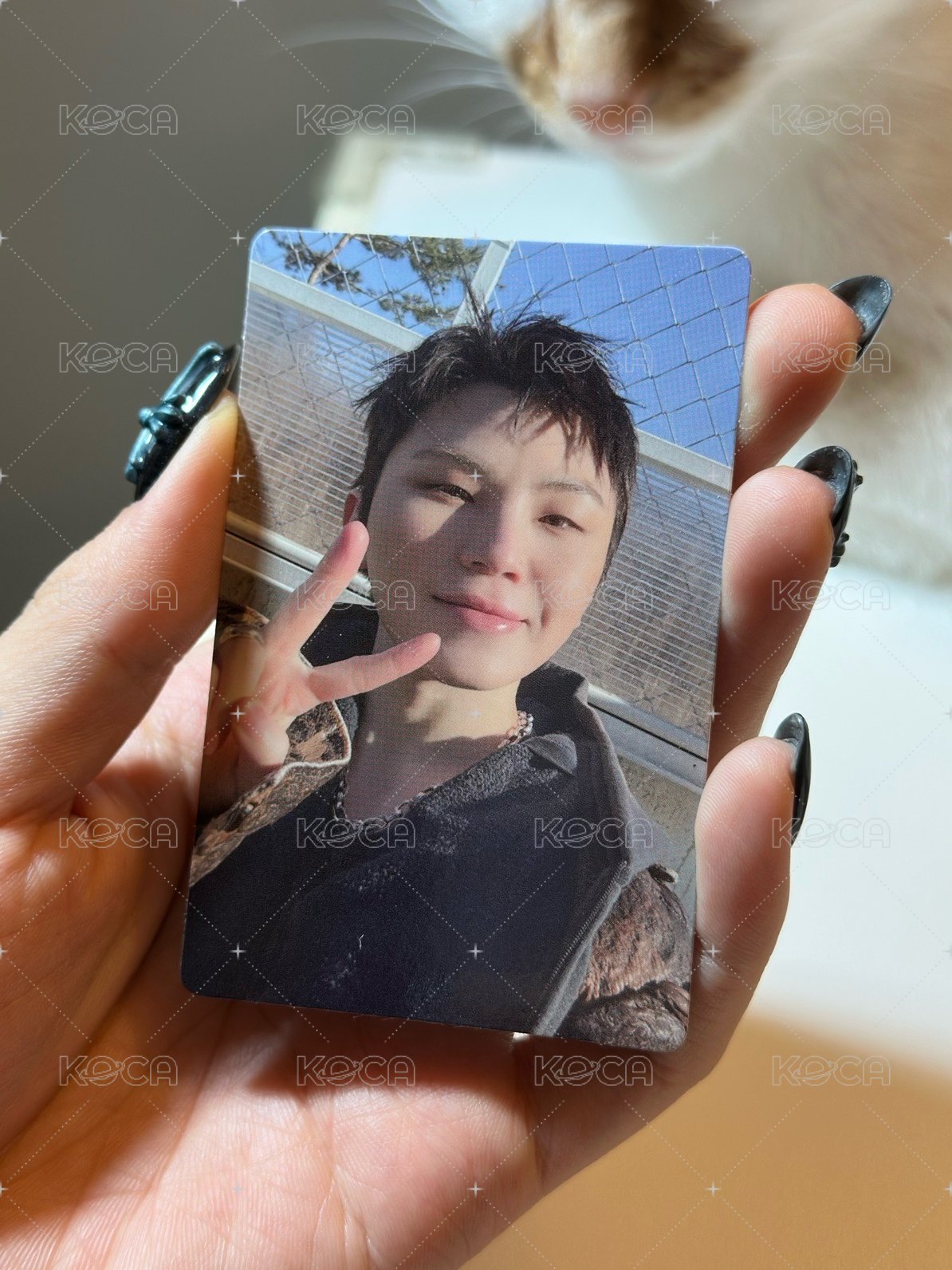 woozi(廠損）