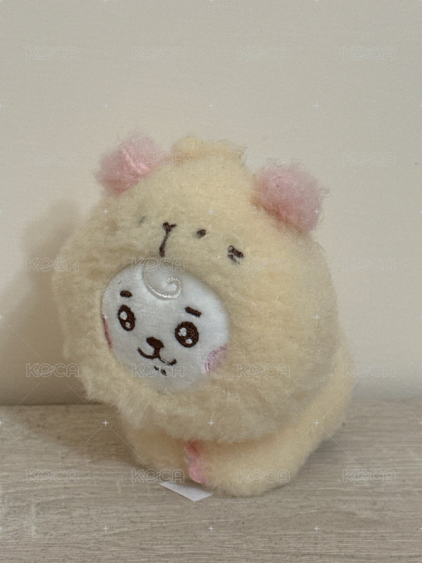 RJ
