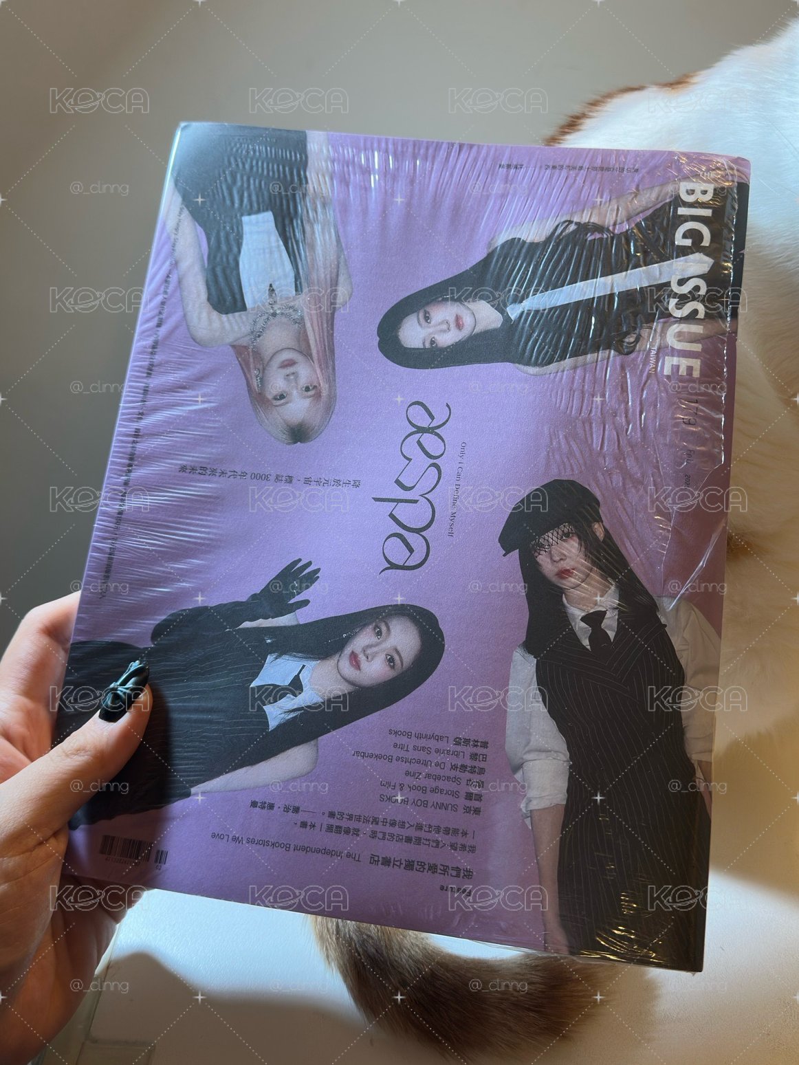 aespa 大誌雜誌 BIG ISSUE 雜誌 (無卡）