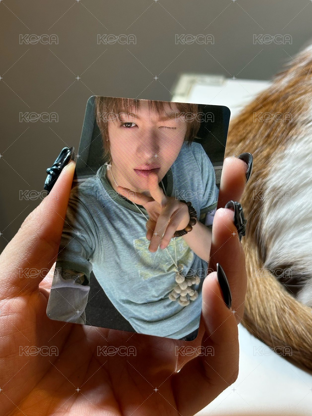 環球 馬