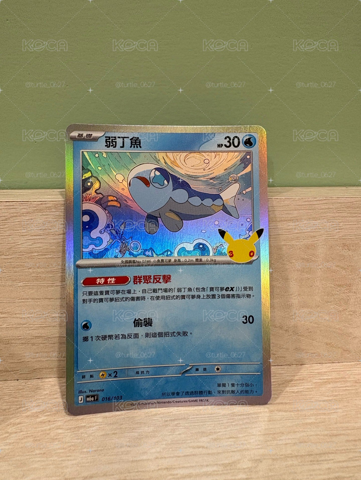 M6aF 弱丁魚 016/103