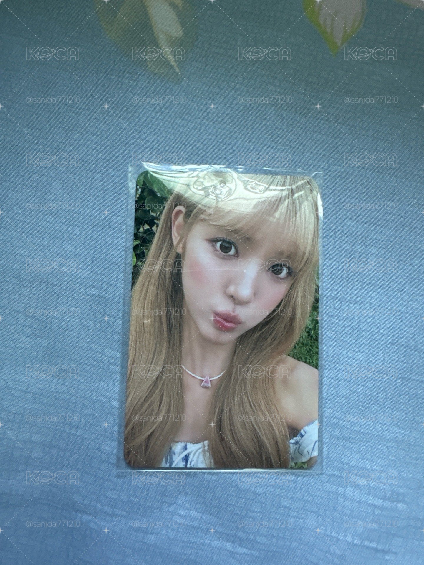 hearts2hearts lemontang 專輯 小卡 專卡 yuha