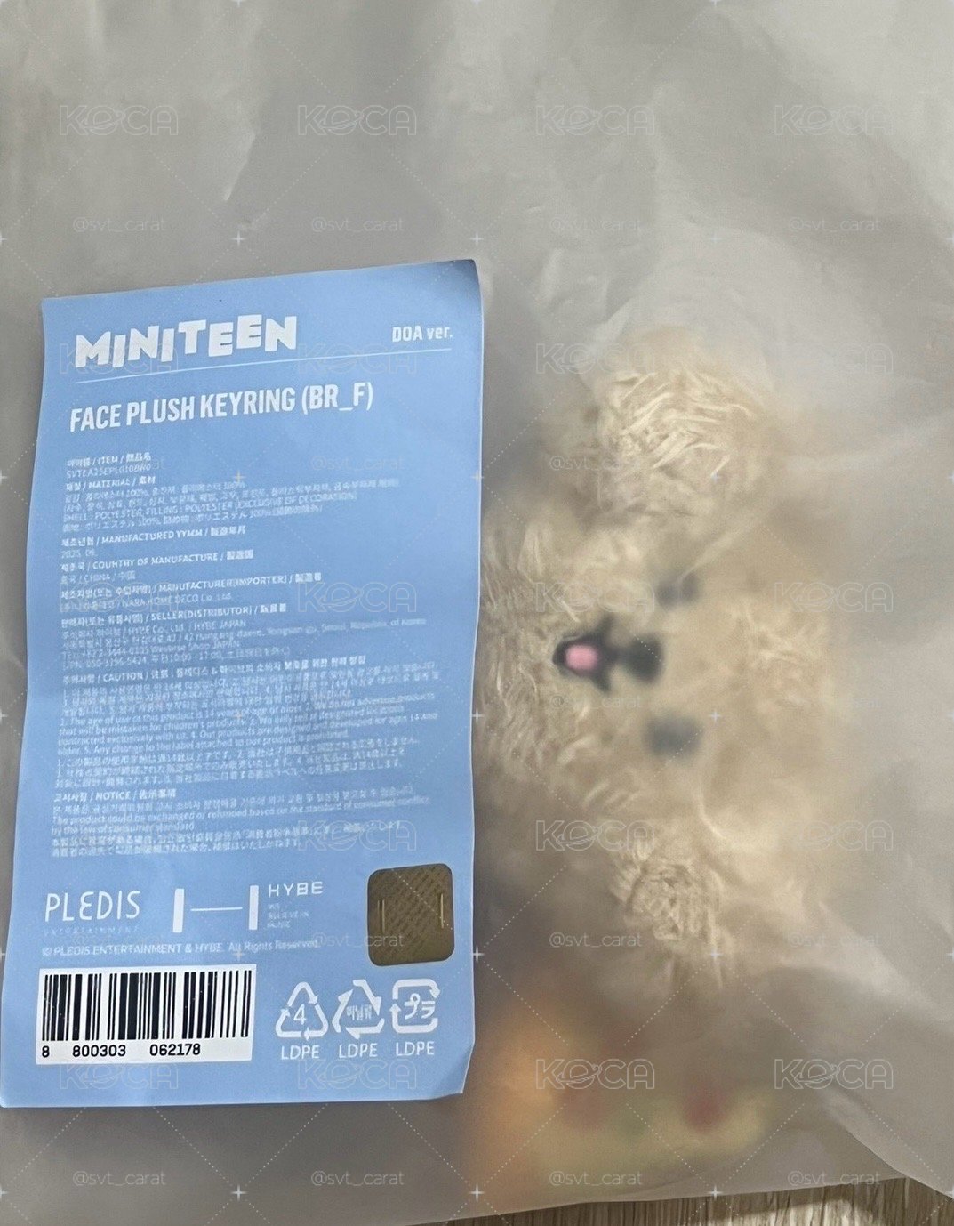 SEVENTEEN Miniteen Face Plush Keyring 大頭吊飾 碩珉 DOA 兜啊