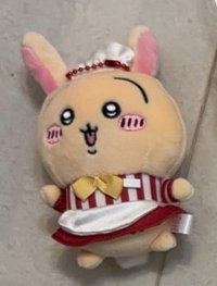 服務兔
