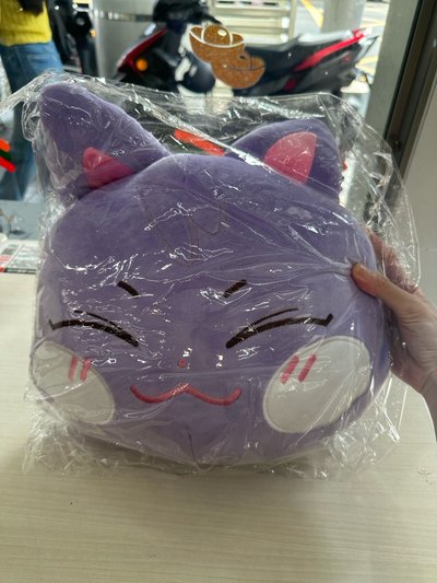 Ateez ANITEEZ IN ILLUSION 大娃 PLUSH DOLL+MIGHTEEZ 抱枕(套) 
