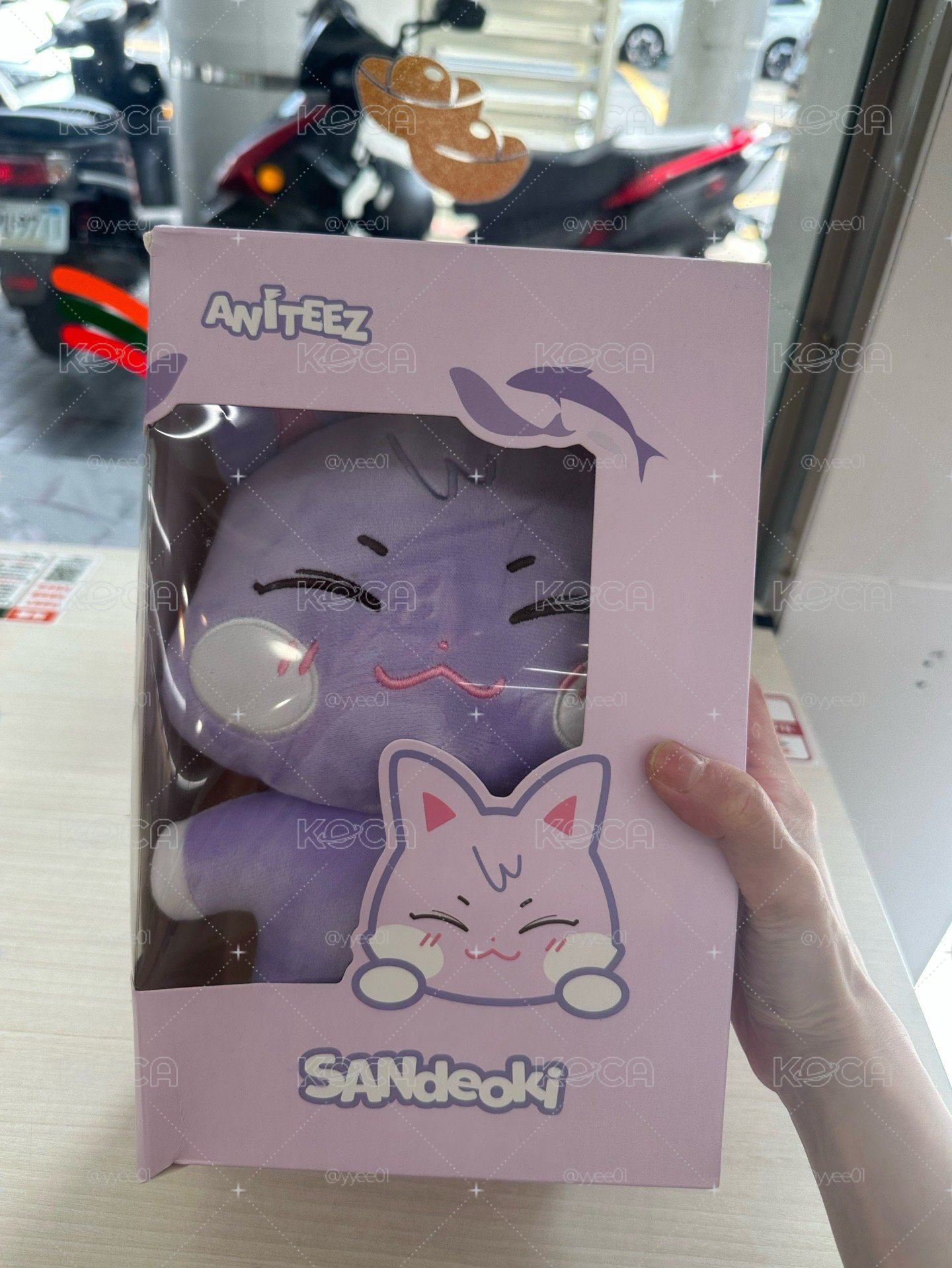 Ateez ANITEEZ IN ILLUSION 大娃 PLUSH DOLL+MIGHTEEZ 抱枕(套) 