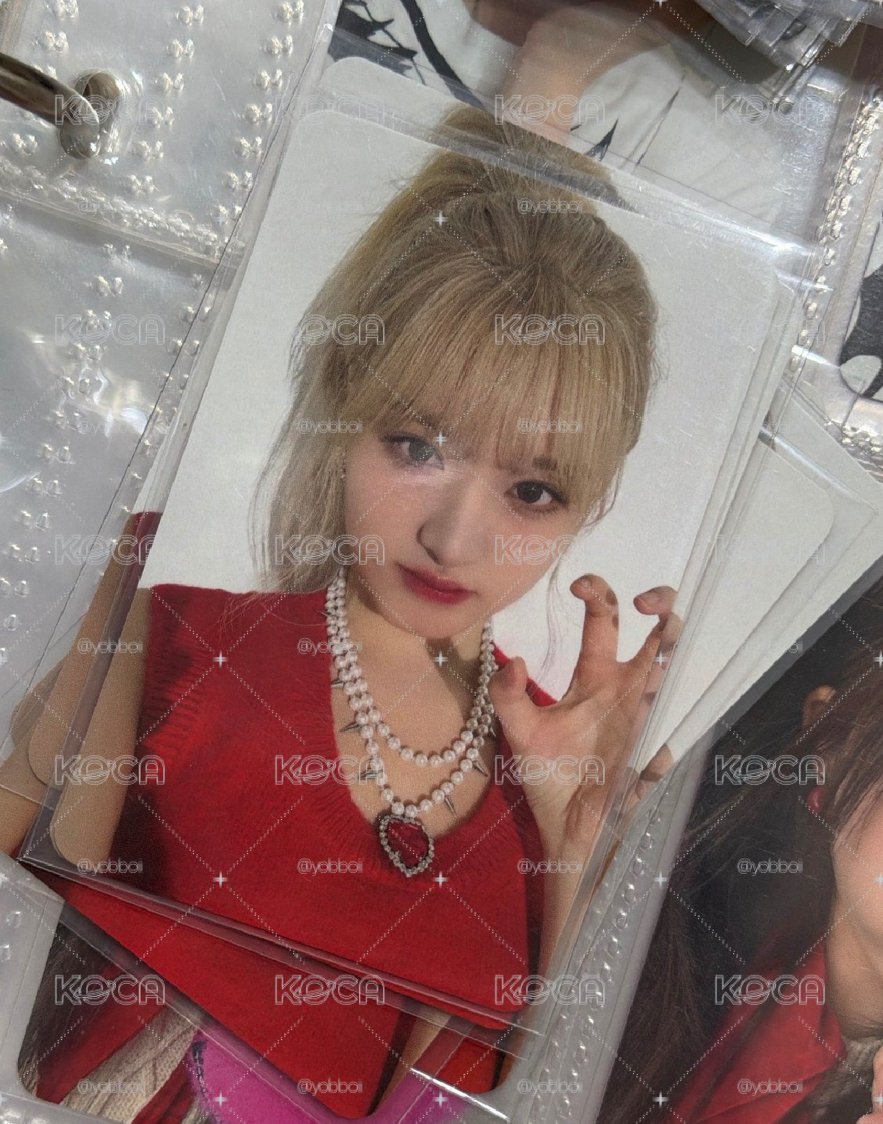 貓貓栗