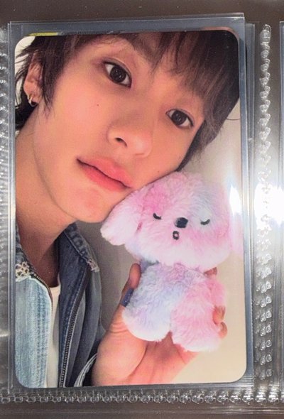 小狗們貼貼