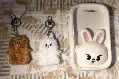 SKZ🧭二手物便宜賣