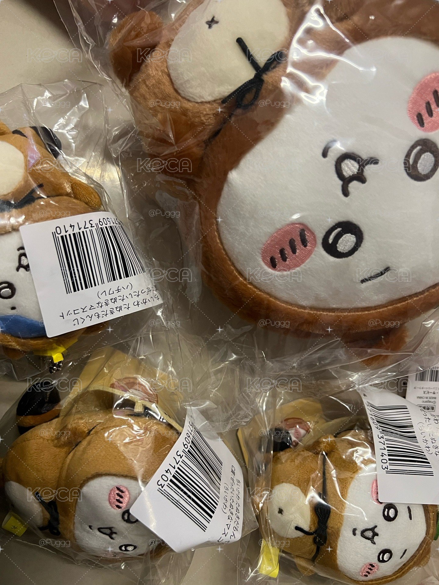 狸貓吉伊/小八
