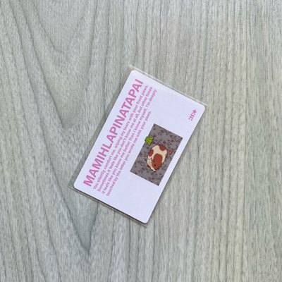 ILLIT MAMIHLAPINATAPAI 單封 專卡