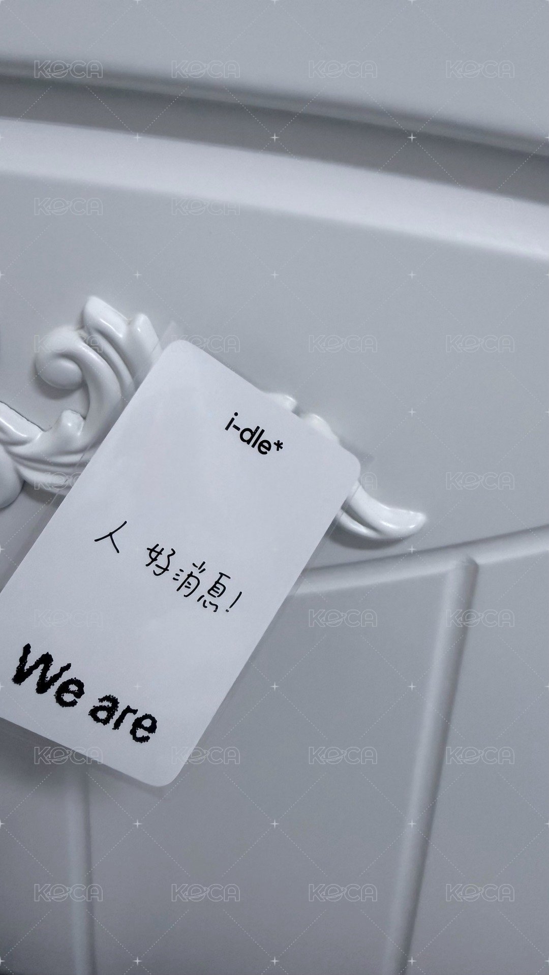 貓爪刷中背（人 好消息！）