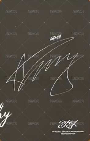 An-Young Entry card / venue-limited card Special Ticket Back