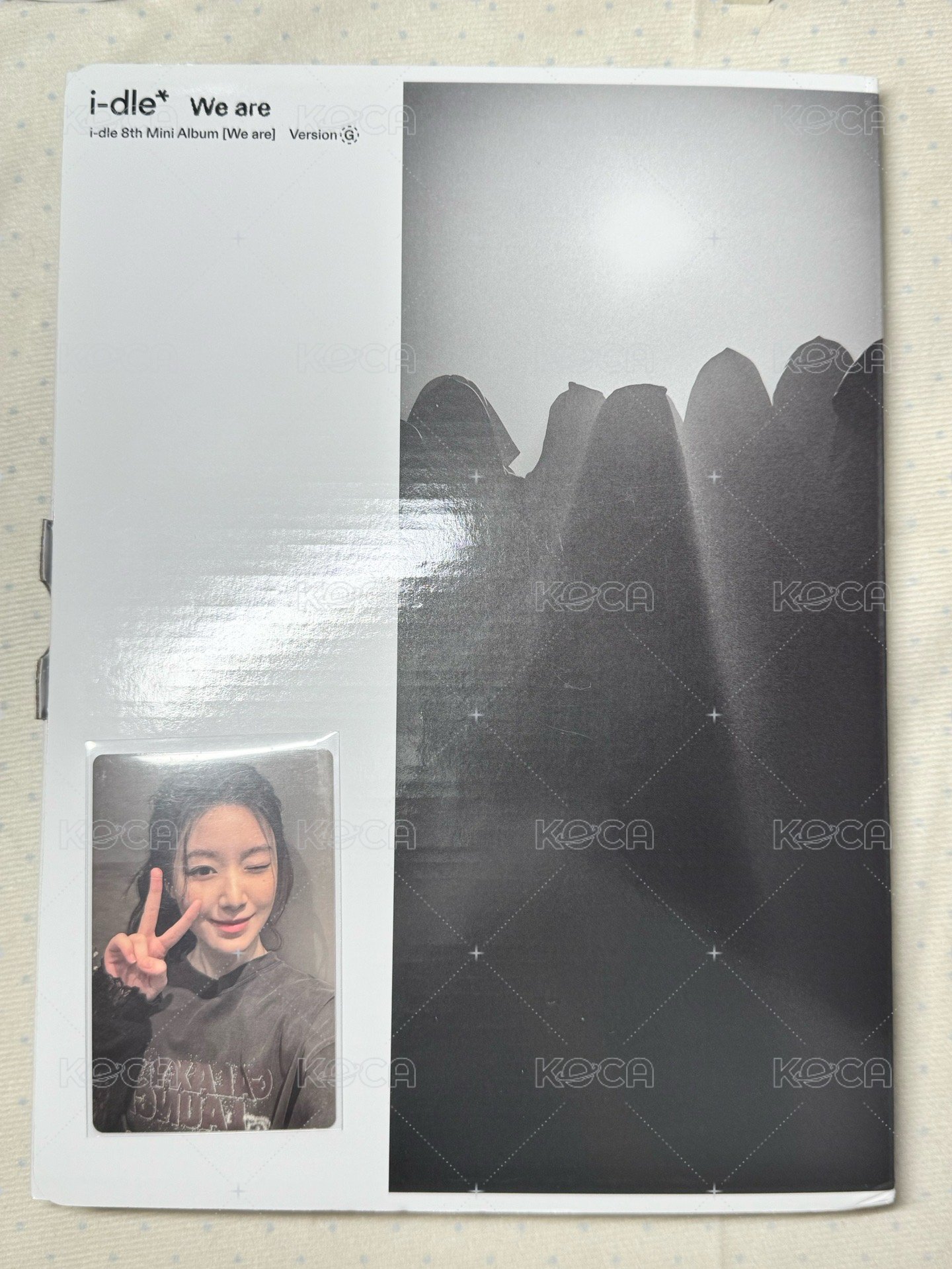 G版全專刷