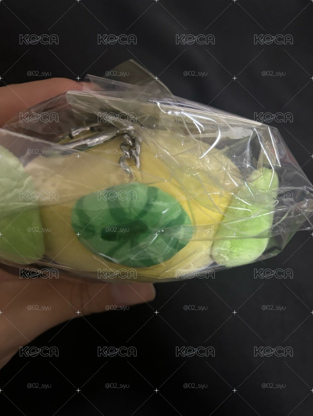 西瓜琦