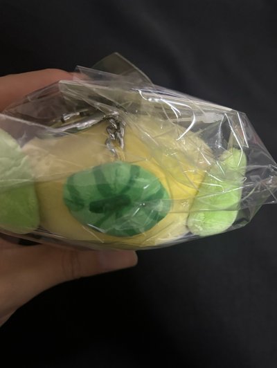 西瓜琦