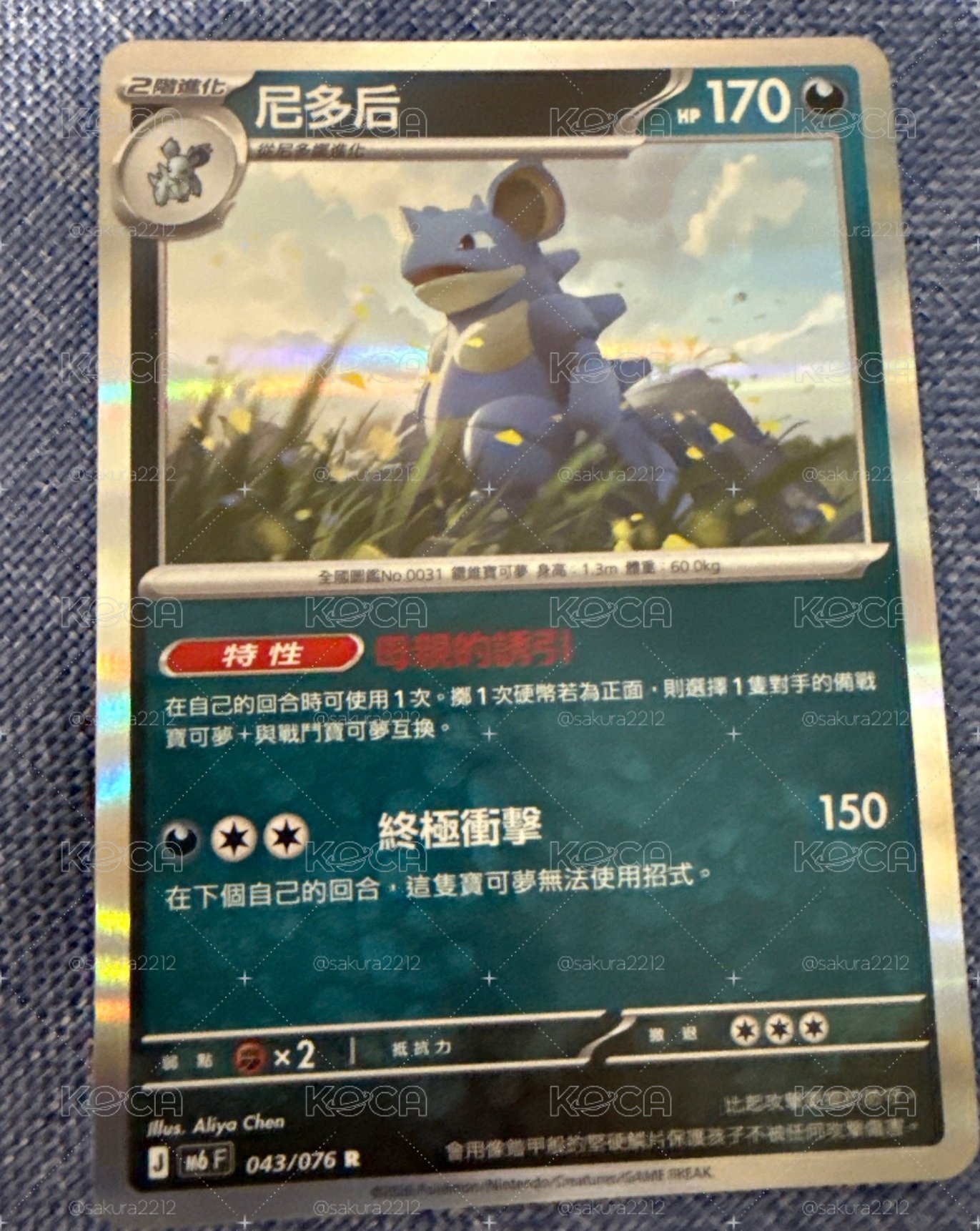 尼多后