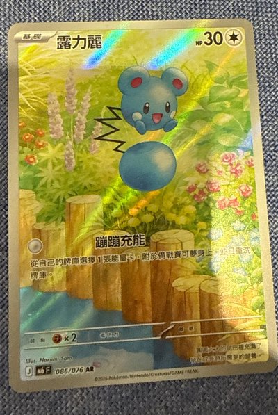 露力麗