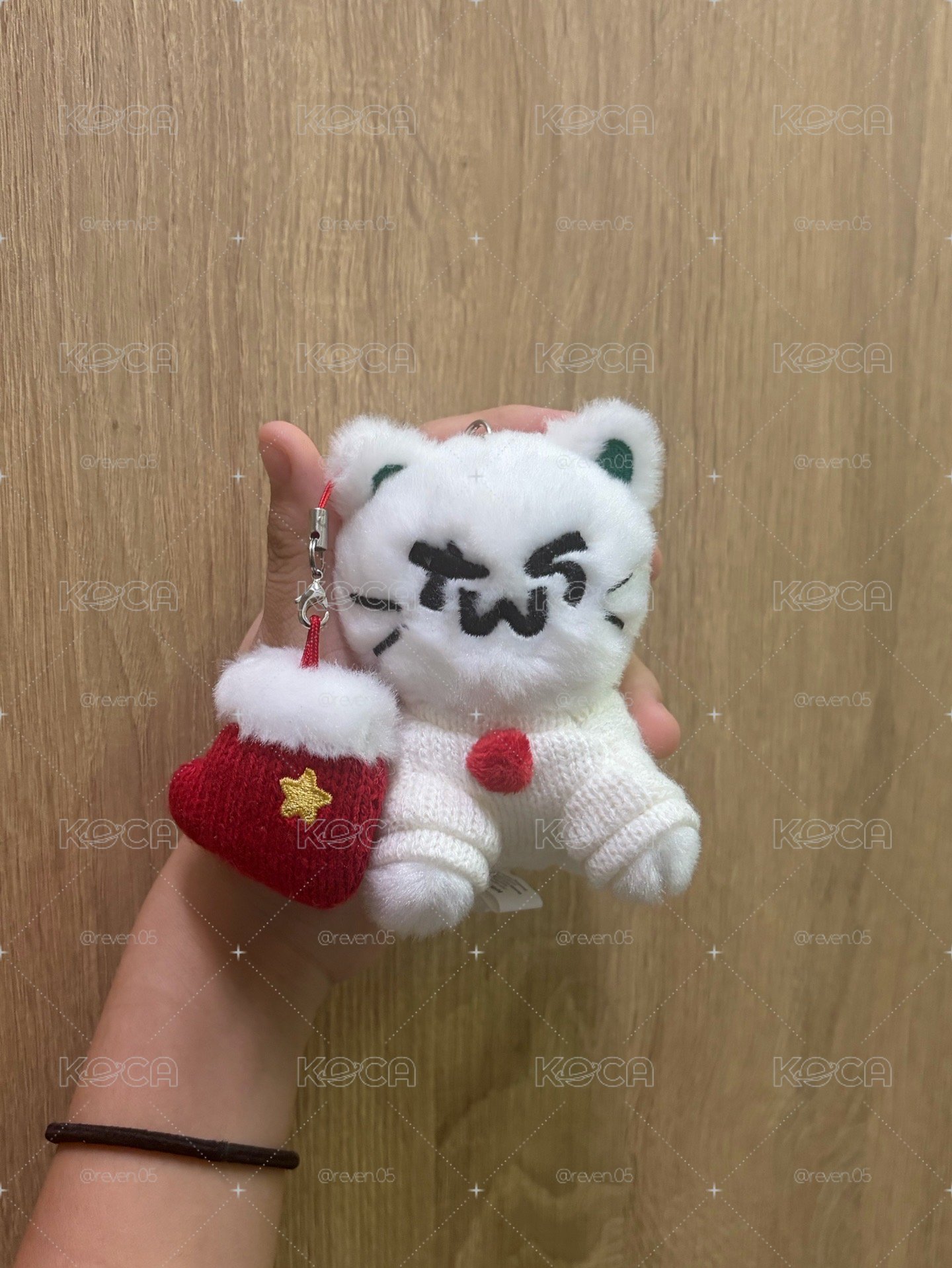 聖誕貓