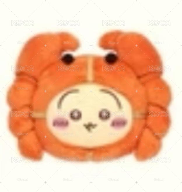 預購在途.大閘蟹烏薩奇