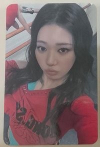 茶
