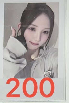 知禹1