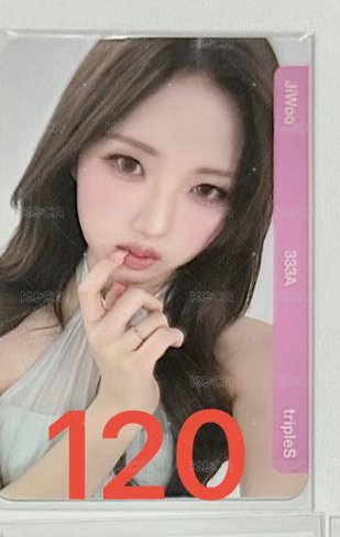 知禹2
