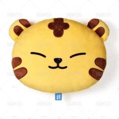 MINITEEN 抱枕 🐯 請看圖二❗️