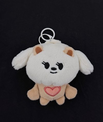 原皮站姿 栗嘻🐻💛