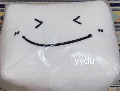 ✅現貨✅Twice 多賢稀有豆腐塊抱枕