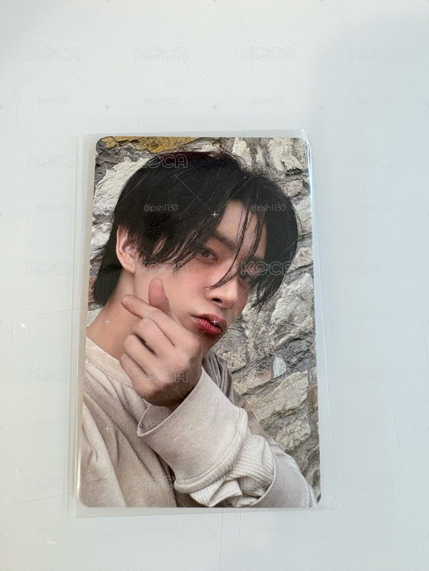 迷七 hmv抽選 11張一起