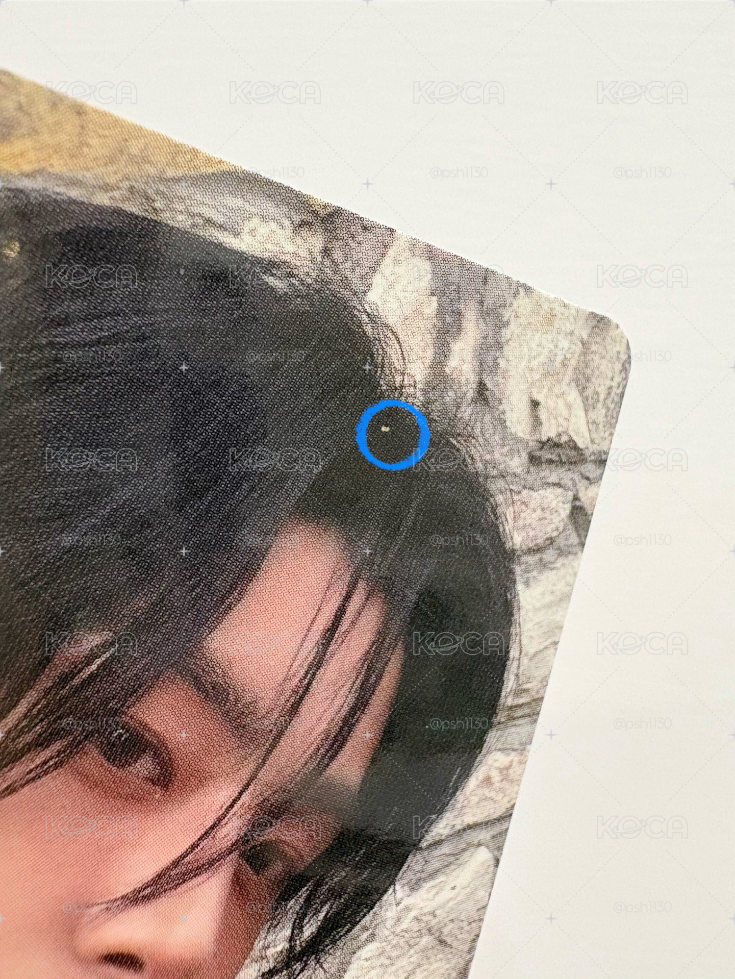迷七 hmv抽選 11張一起