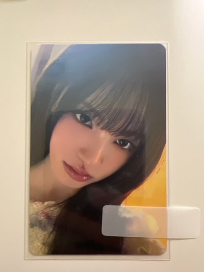 lucid dream栗 專卡 美萌小貓手繪卡背