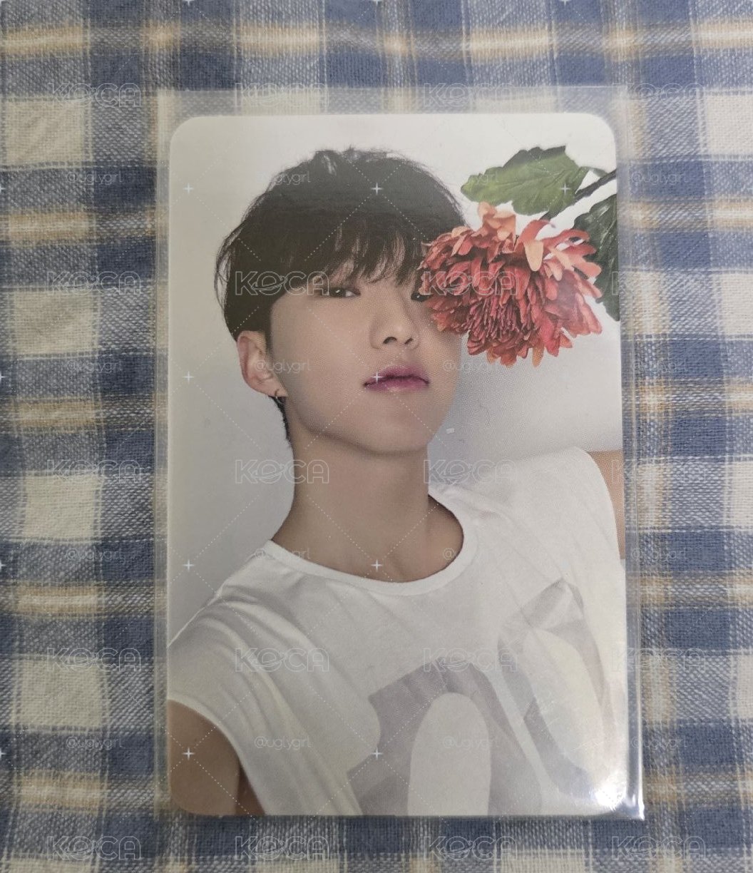 精選專 專輯卡 DEAR ver._Hoshi