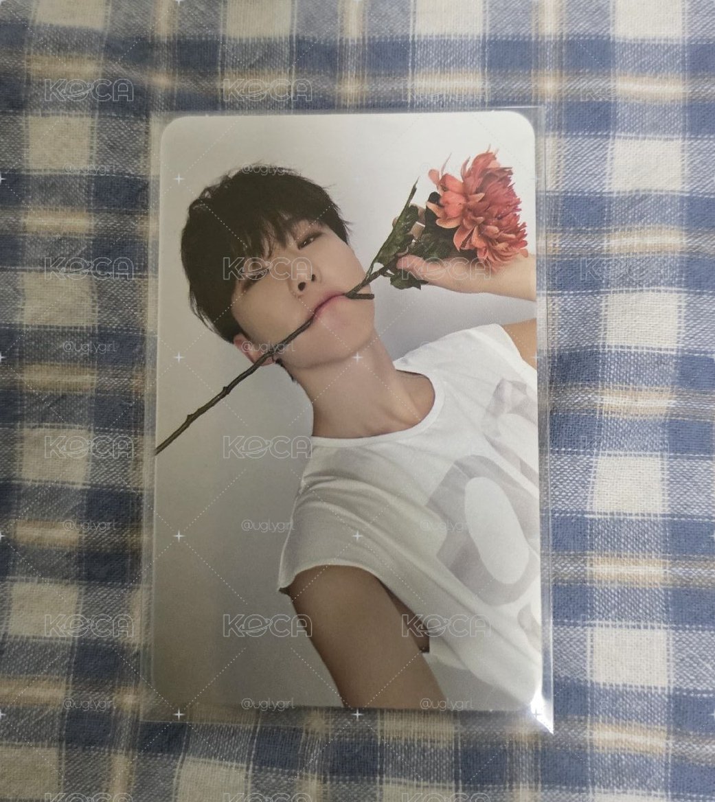 精選專 專輯卡 DEAR ver._Hoshi