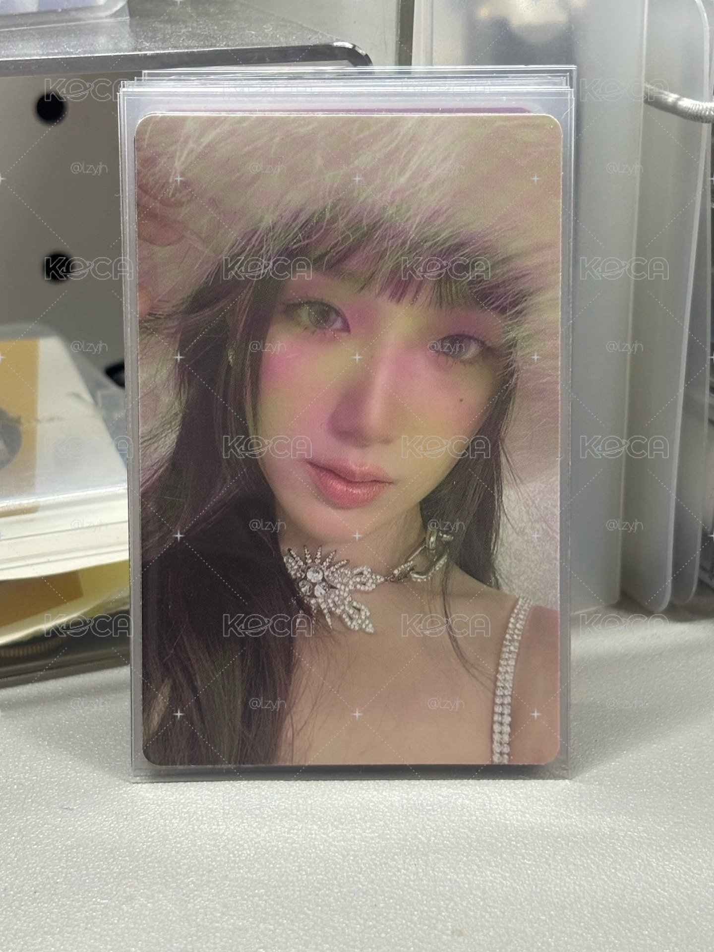 葉舒華綁區