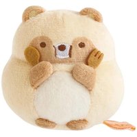 狸貓